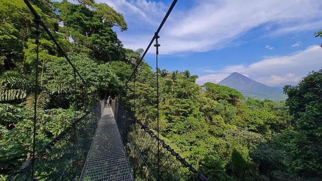 Mistico Hanging Bridges + Transportation + Naturalist Guide