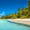 Punta Cana: Saona Island Day Trip with Tickets and Lunch