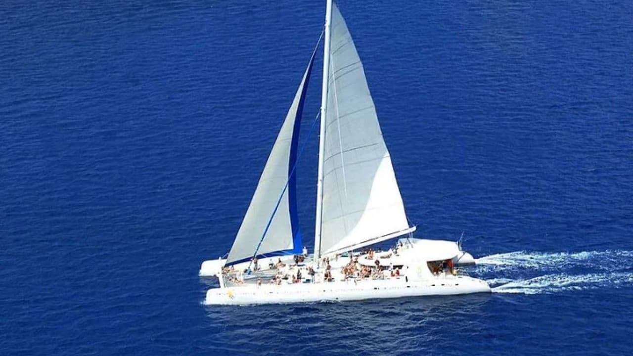 Saona Island Snorkeling, Catamaran and Lunch on the Beach