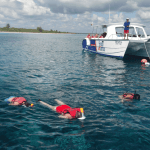 Saona Island Full-Day Tour with Lunch from Punta Cana