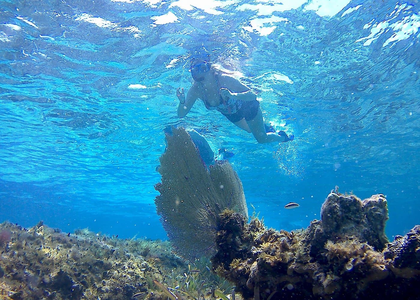 Private 6 Hrs 47 ft. Catamaran Snorkel & Cielo Charter (30p. max)