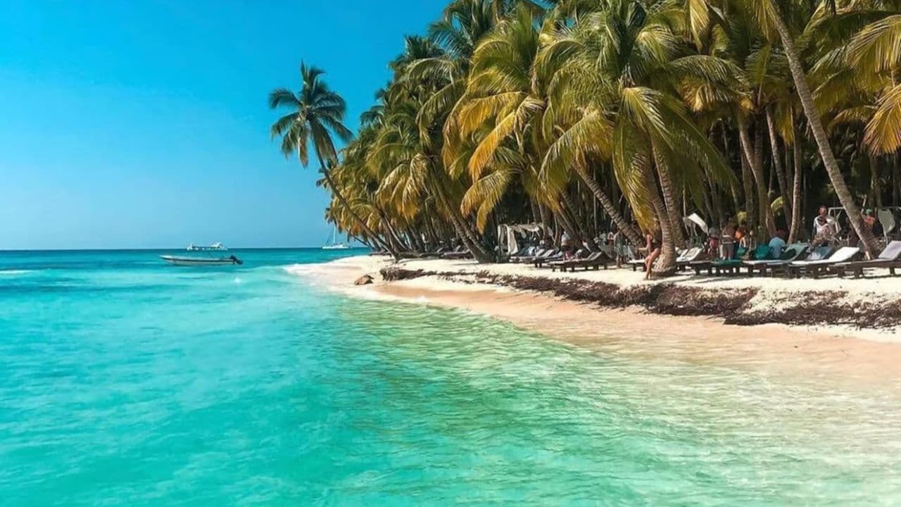 From Santo Domingo: Isla Saona Full-Day Tour with Lunch