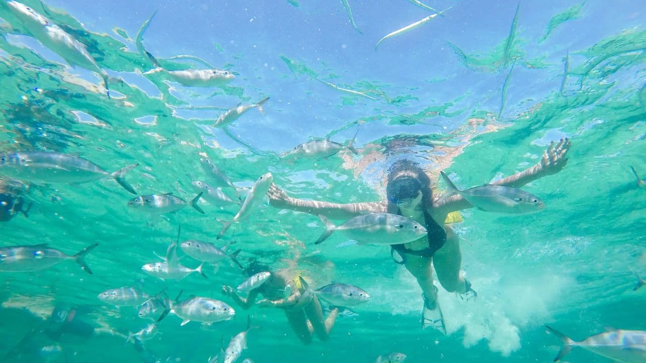 Punta Cana: Speedboat and Snorkeling Adventure with …