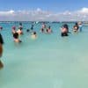 Punta Cana y bayahibe : Catalina Island with Snorkeling