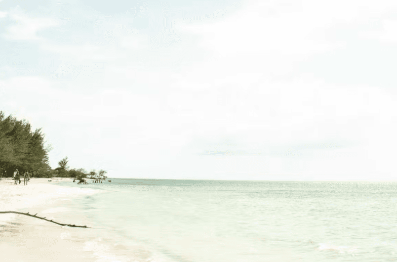 Transfer to Cayo Jutías