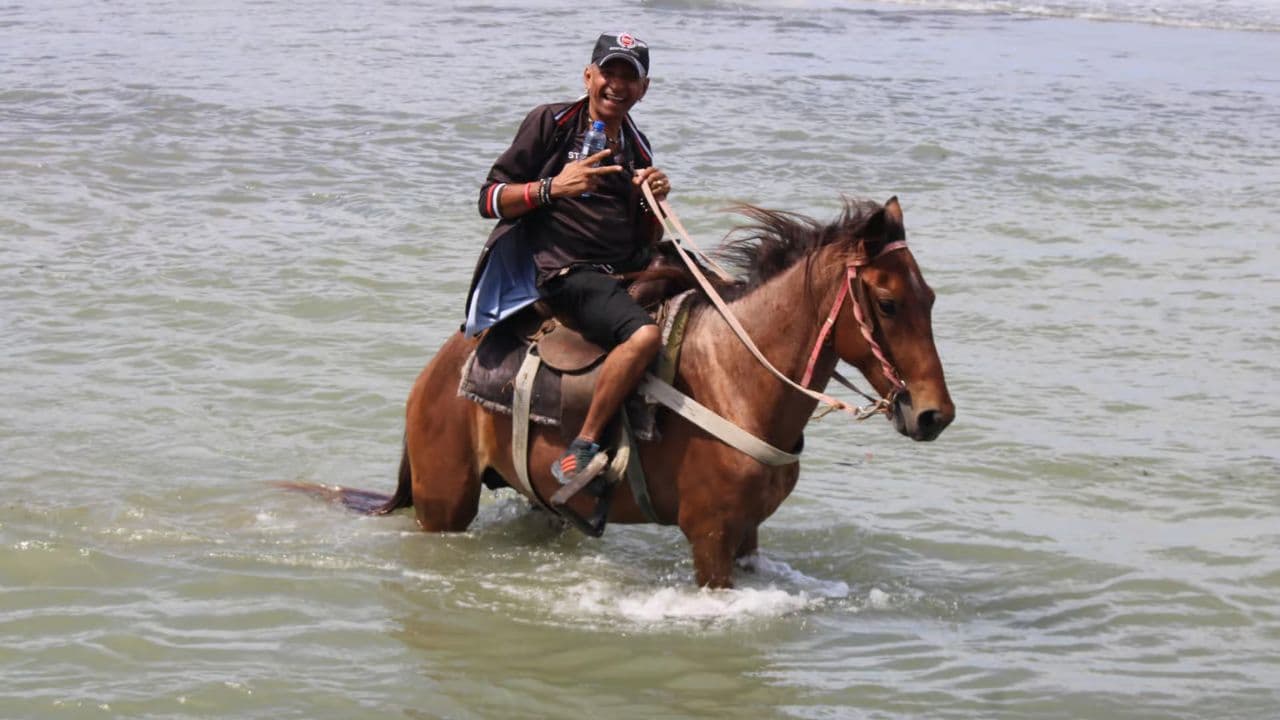 Beach horse back riding and countryside