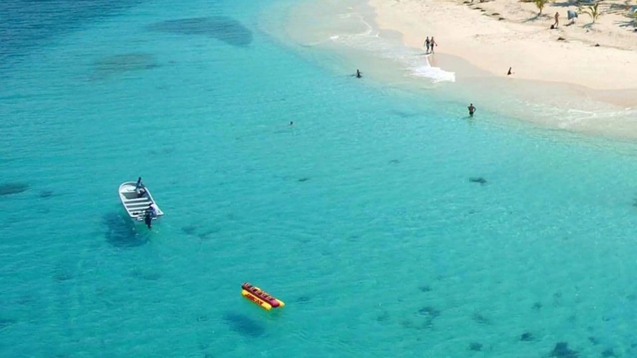 From Punta Cana: Samana Day Trip