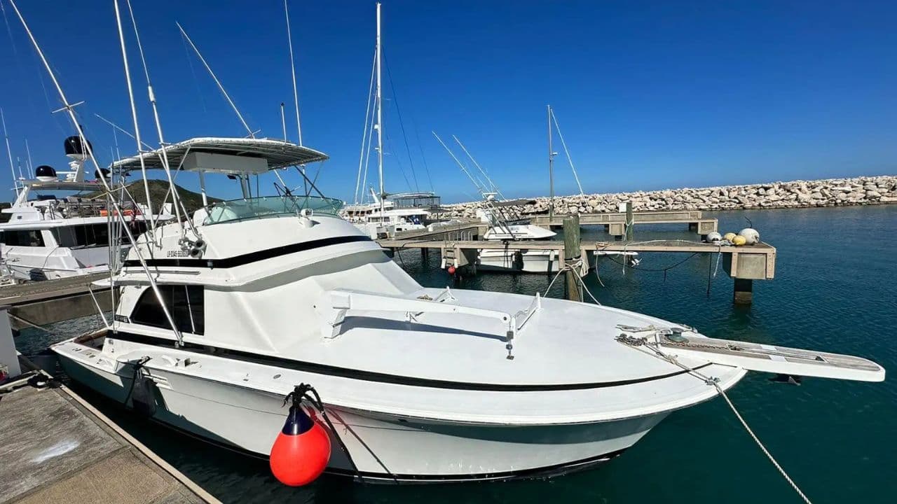 Puerto Plata: Deep Sea Fishing Tour