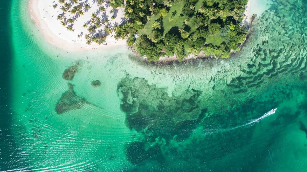 Whale Watching and Cayo Levantado Tour: A Perfect Tropical Getaway