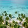 Saona Island: Catamaran tour to a Dream Beach, all inclusive
