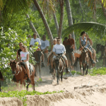 From Punta Cana: Samana Cayo Levantado Whales