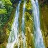 Punta Cana: Samana Bay Full-Day Experience