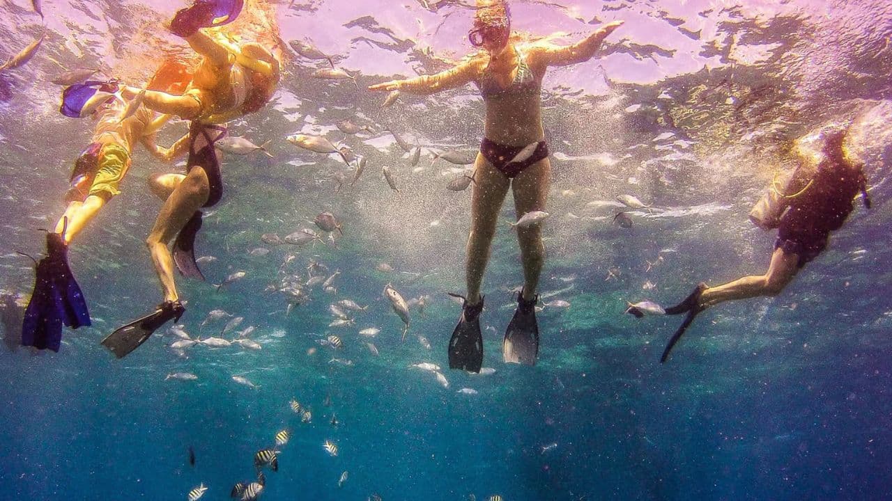 Catalina Island Tour: Boat, Beach Stay, Lunch & Free Drinks