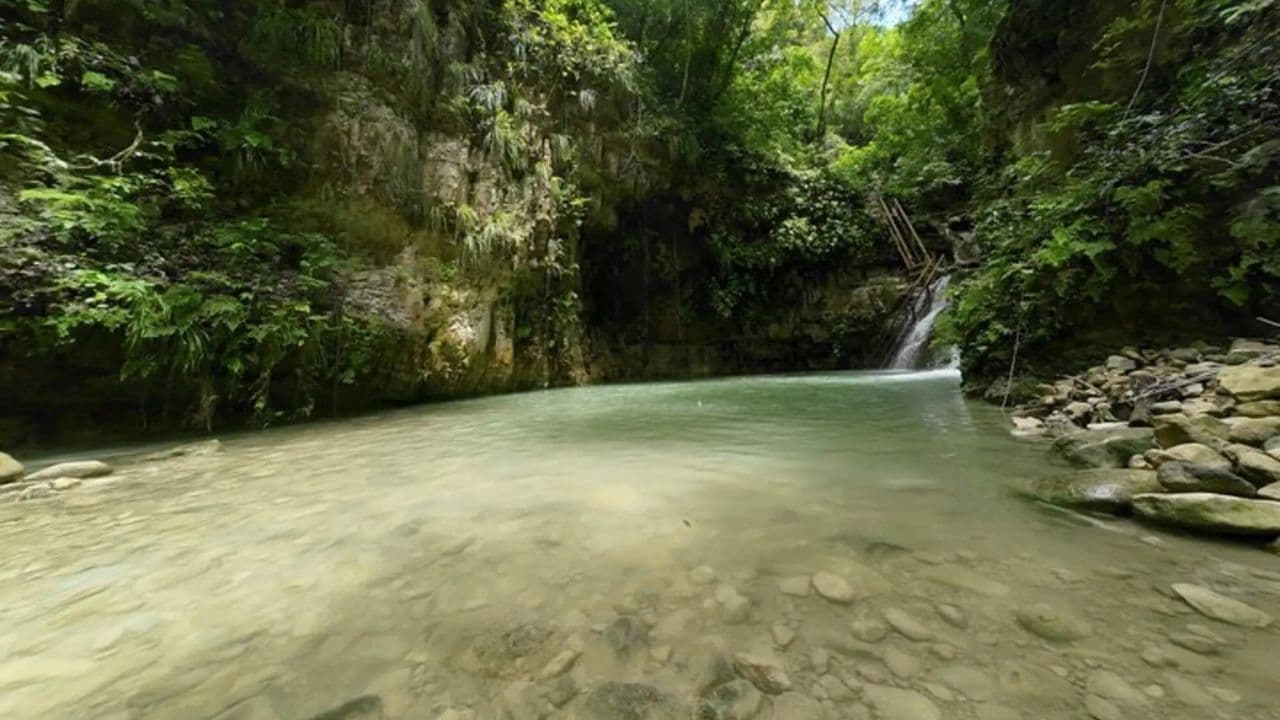 Puerto Plata: Damajagua Waterfalls with Buggy or Horse Ride