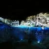 Bayahibe: National Park Jungle Walk & Snorkeling in Cenotes