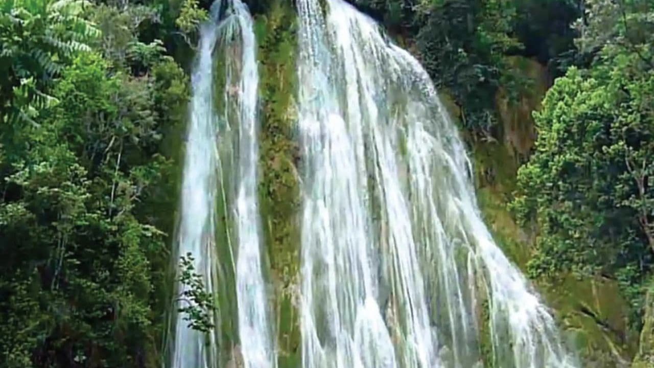 Dominican Republic: El Limón Waterfall Horseback Riding Tour