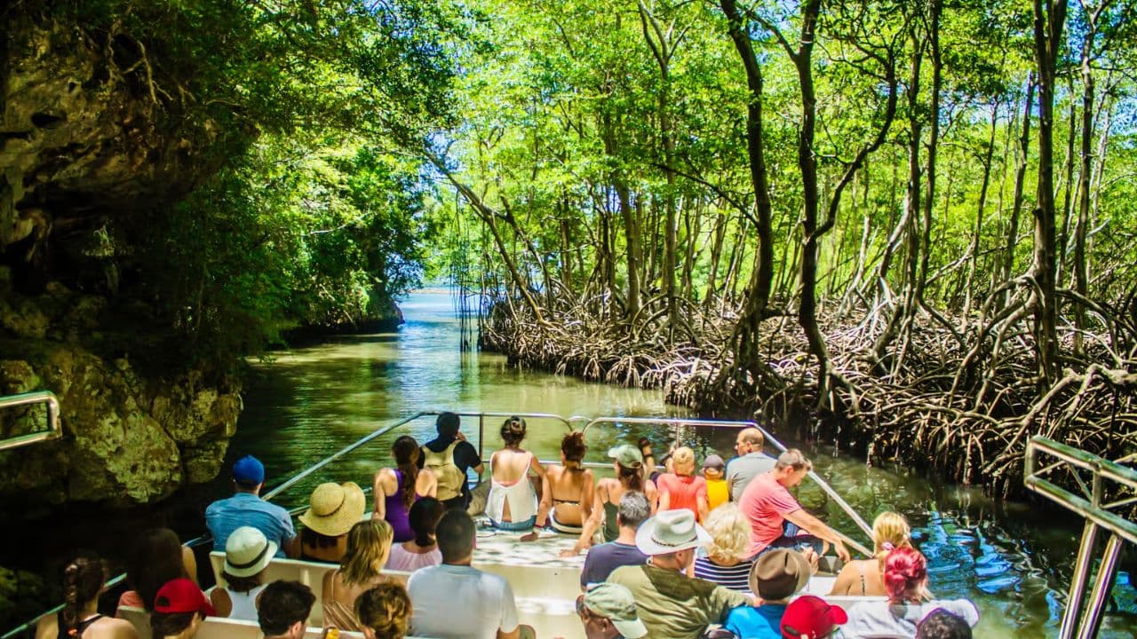 3in1 Fullday Los Haitises & Waterfal SPA from Punta Cana