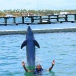 Dolphin Swim in Punta Cana – Best 60-min Dolphin Discovery