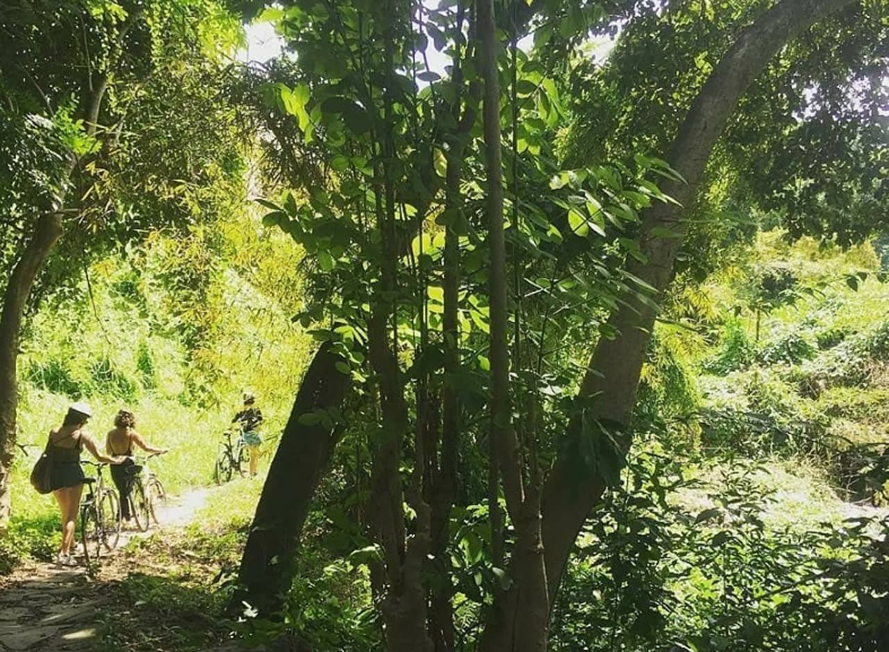 Havana Enchanted Forest Bike Tour