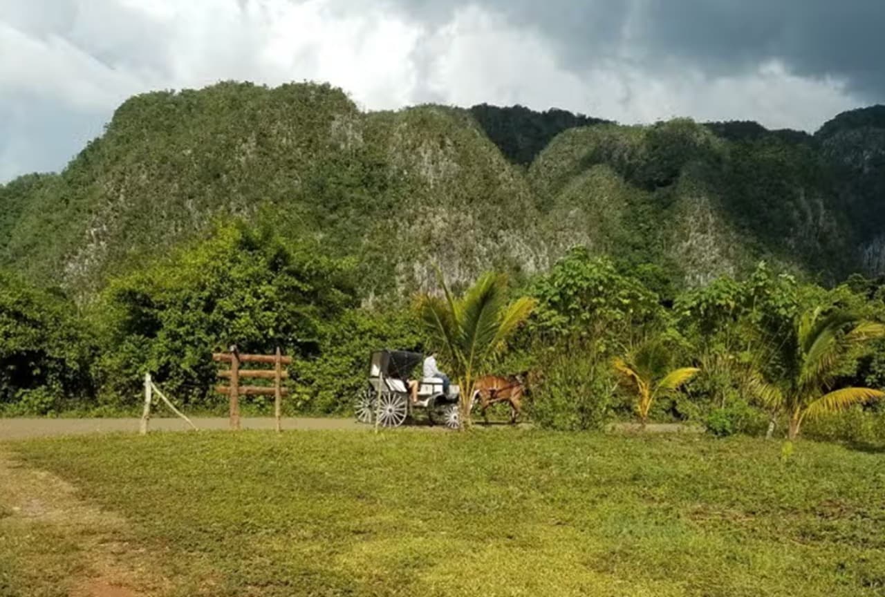 Viñales Valley Carriage Ride