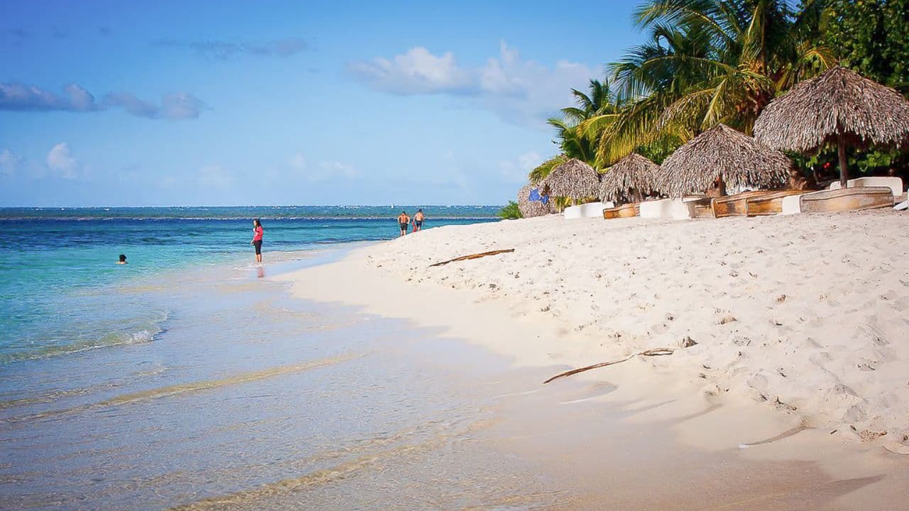 La Romana: Catalina Island Full-Day Snorkeling Tour