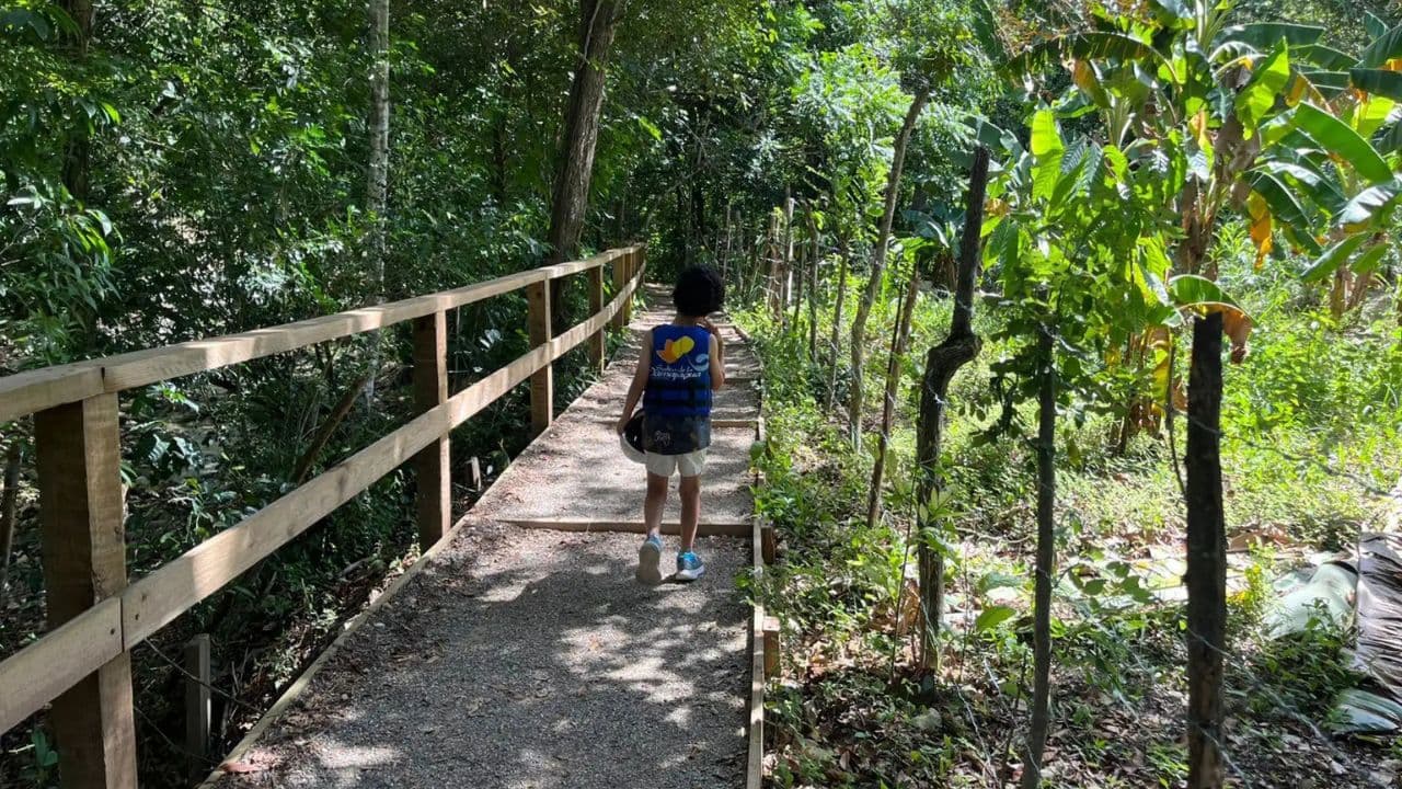 Damajagua Waterfalls with Lunch + Tranportation