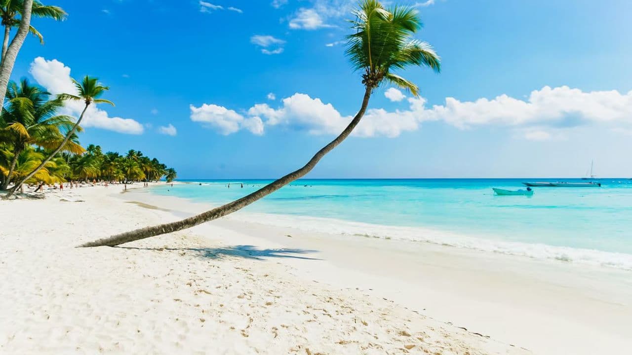 Saona Island catamaran experience with lunch from punta cana
