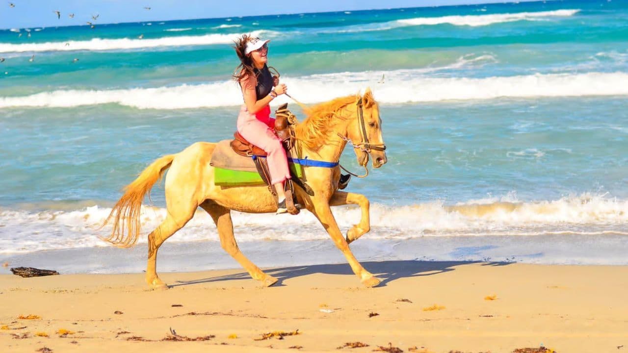HORSEBACK RIDING BEACH MACAO PUNTA CANA WITH PICKUP HOTEL