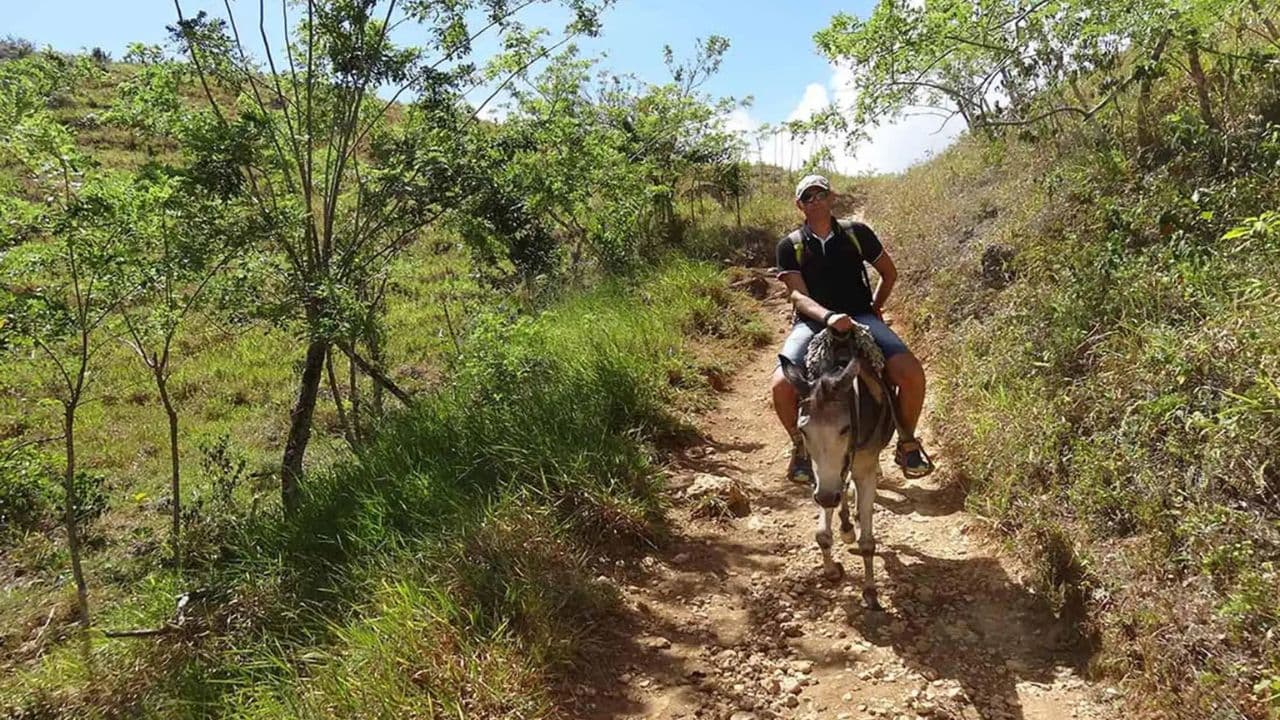 Punta Cana: Samana with Waterfall & Bacardi Island Day Trip