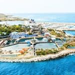 Dolphin Encounter for Dominican Residents