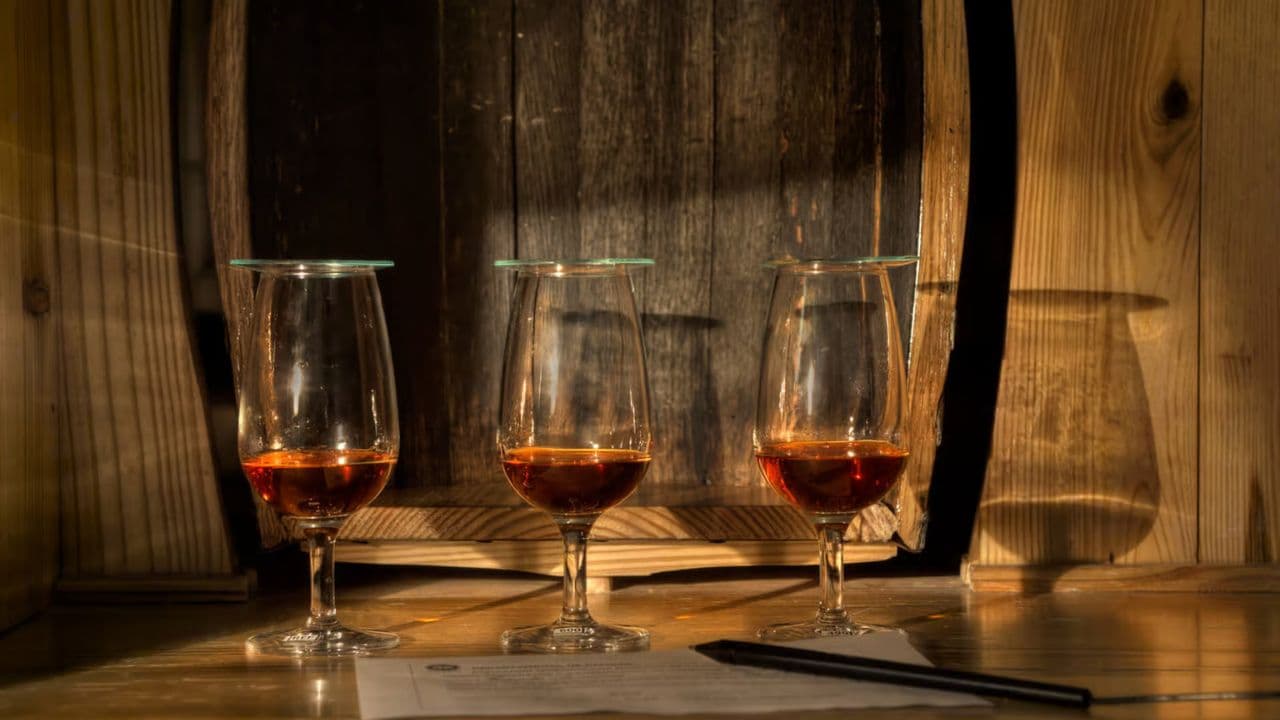 Ron Barcerló: Rum Factory Tour with Rum Tastings