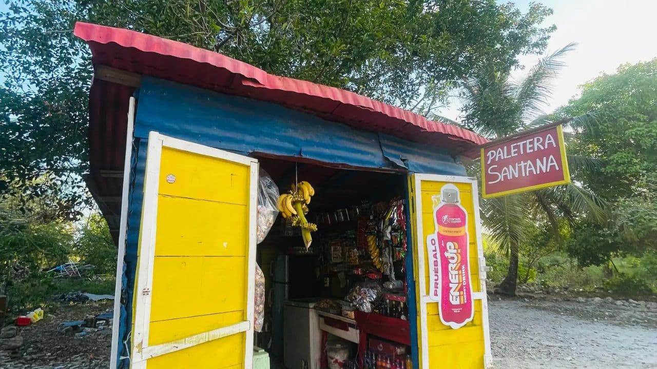 Santo Domingo: Saona Island full-day tour all-inclusive