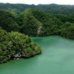 Excursion and Walking Tour with Lunch