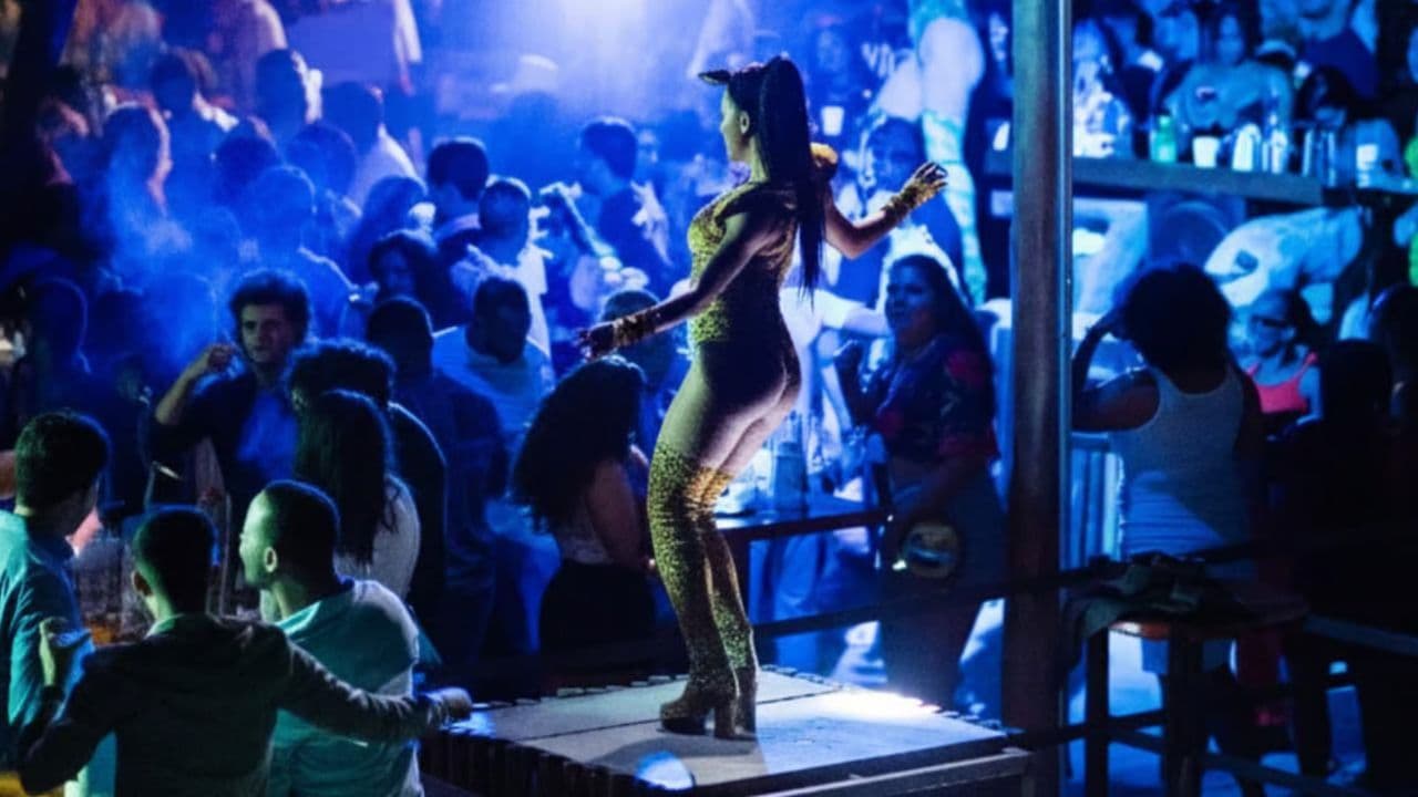 Punta Cana: Maroca Club VIP Fit (Entry, Drinks & Transfers)