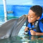 Dolphin Encounter for Dominican Residents