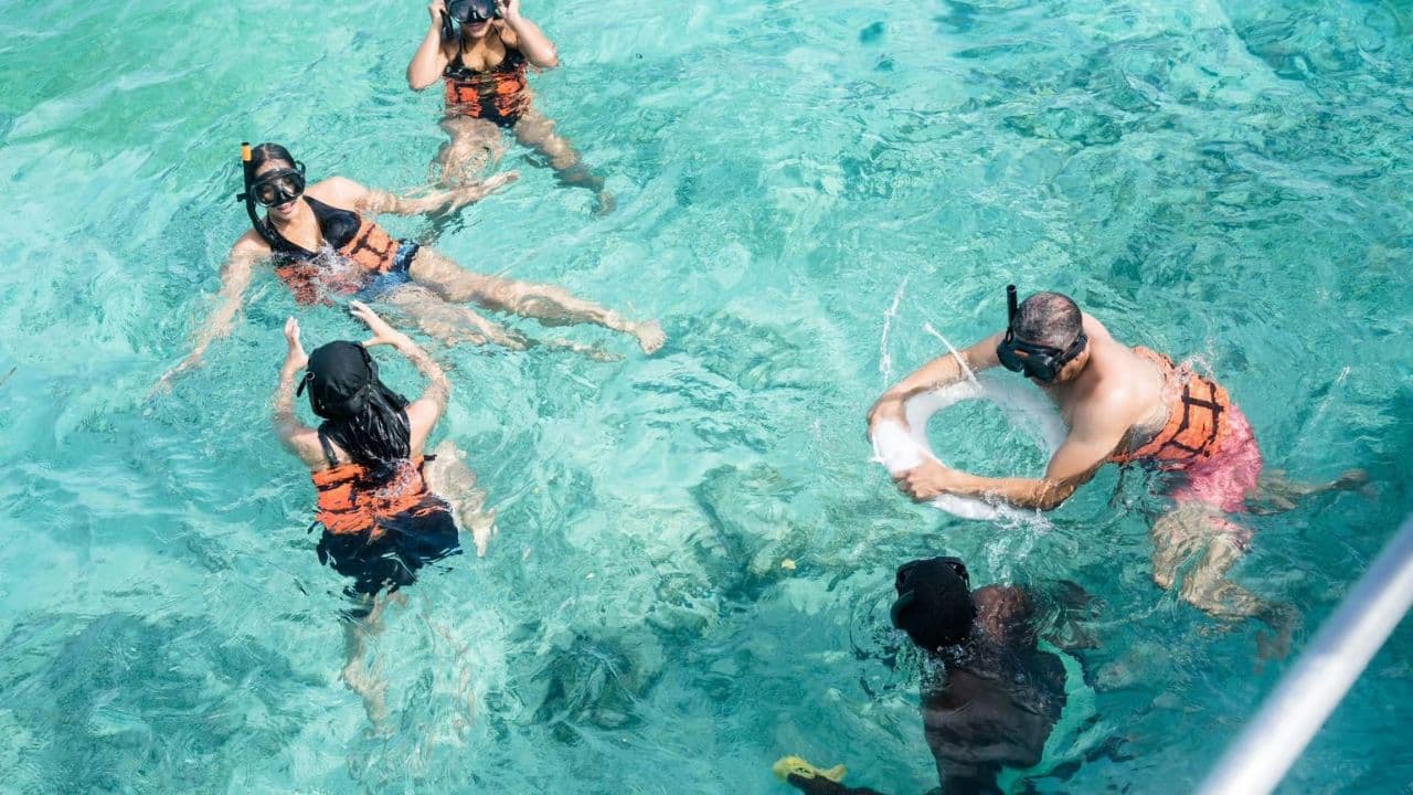Punta Cana :Catamaran with Open Bar and Dolphin and Stingray Watching