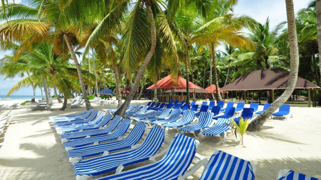 Saona Island: Incredible day With buffet from Punta Cana