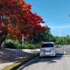 Private Transfer Punta Cana Airport to Bahia P. Bouganville