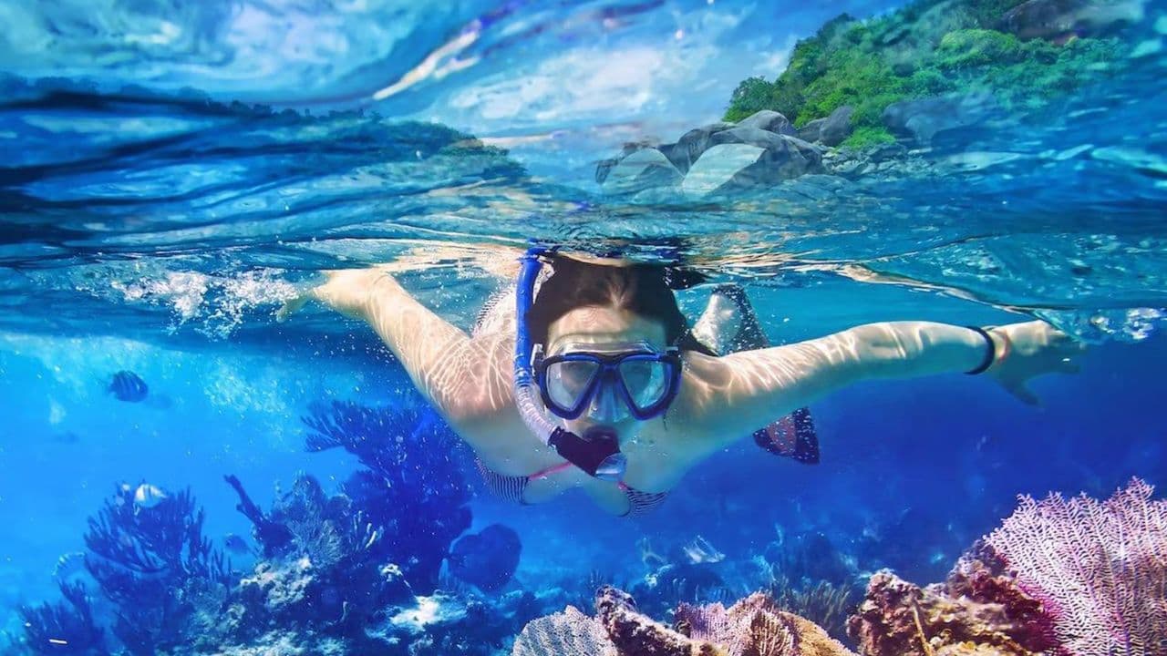 Punta Cana: Full-Day Snorkeling Tour to Catalina Island