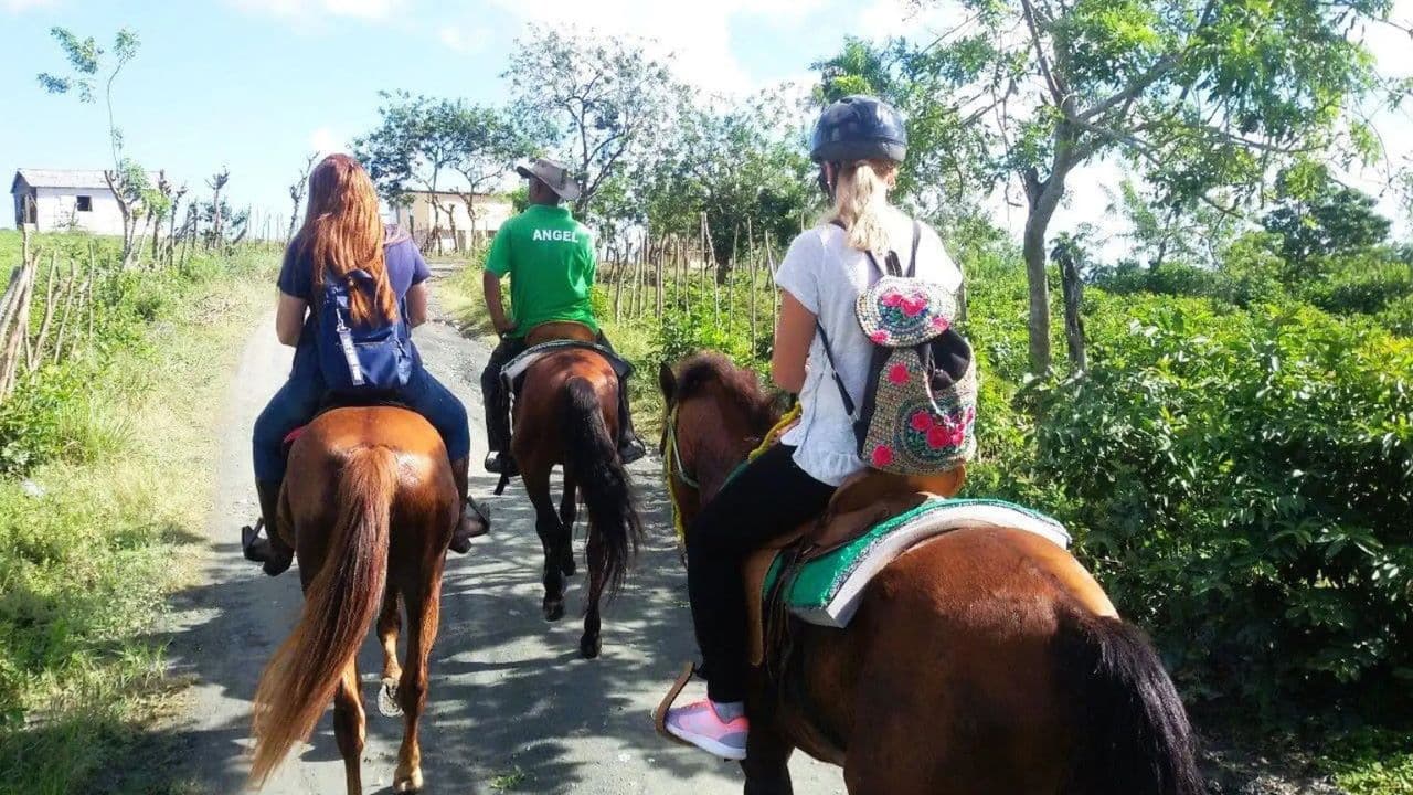 From Puerto Plata: Horseback ride along the mountain river