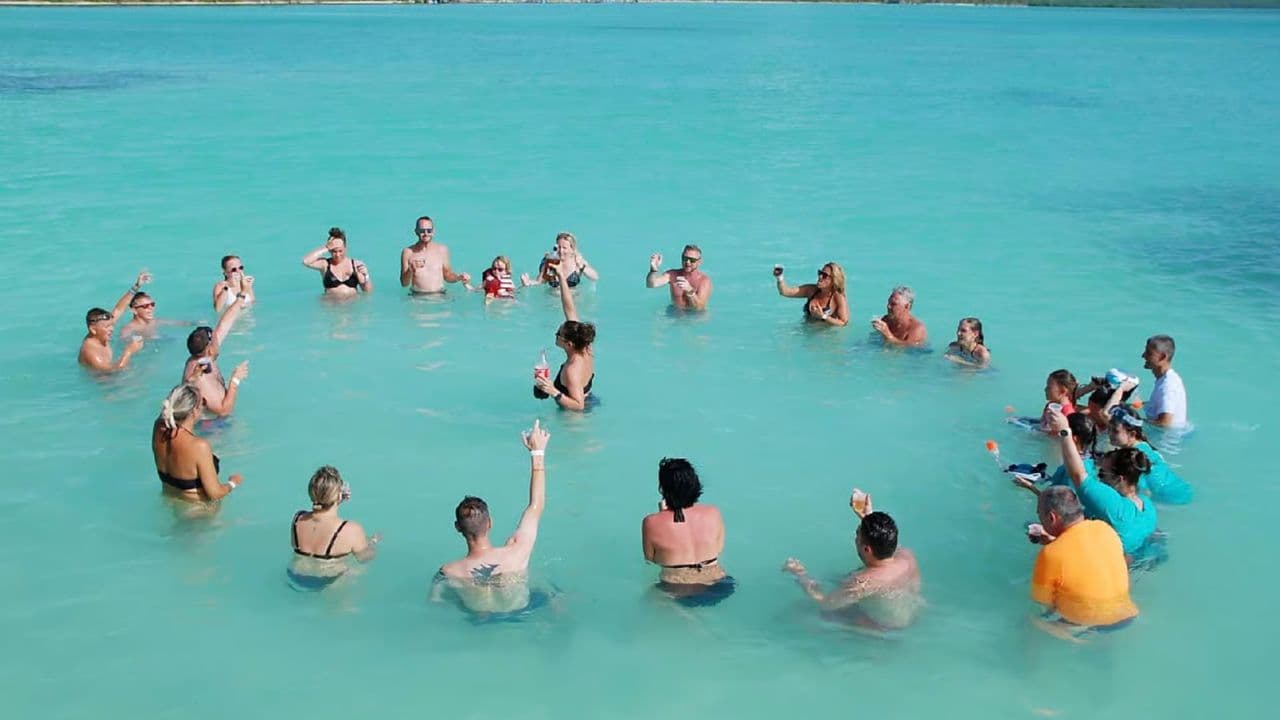 From Punta Cana: Zip Line Canopy Adventure Tour with Pickup