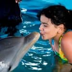 Dolphin Encounter at Ocean World, Puerto Plata
