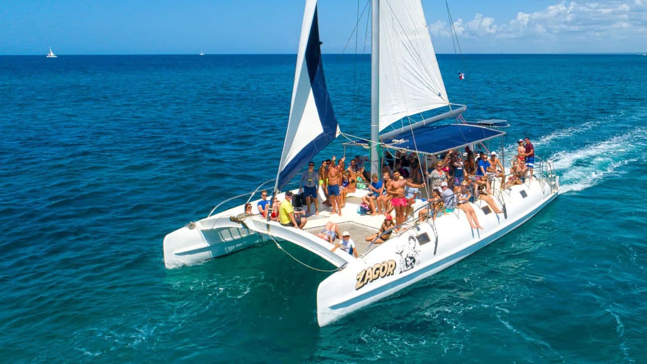 Saona Island: Incredible day With buffet from Punta Cana