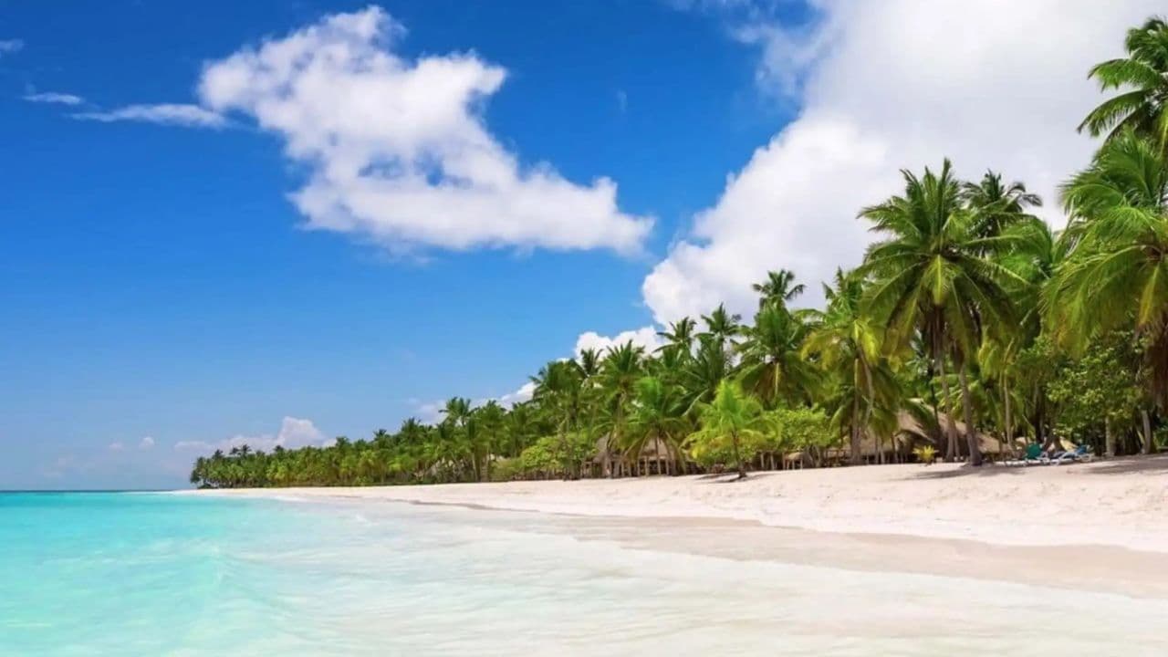 All-Inclusive Saona Island Day Trip from Punta Cana