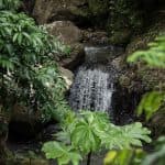 Las Galeras : El Limón waterfalls Tour Private (horse riding, Lunch & swimming)