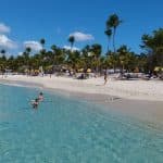 Catalina island snorkel with Food and drinks (Full Day)