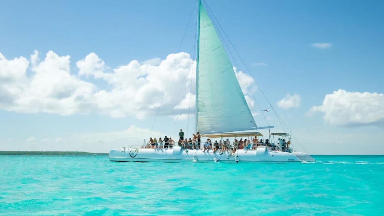 From Punta Cana: Saona Island Day Trip with Buffet Lunch