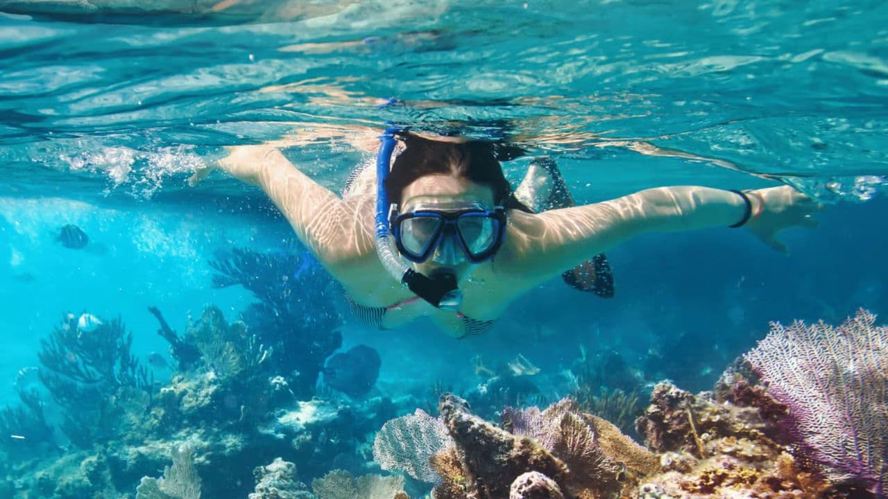 Saona Island Full Day Catamarán Food and Drink included