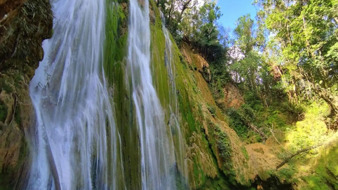 Dominican Republic: El Limón Waterfall Horseback Riding Tour