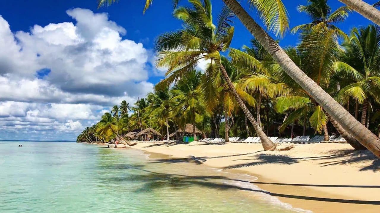 From Santo Domingo: Isla Saona Full-Day Tour with Lunch